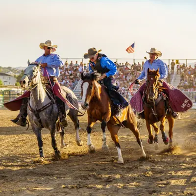 Rodeo